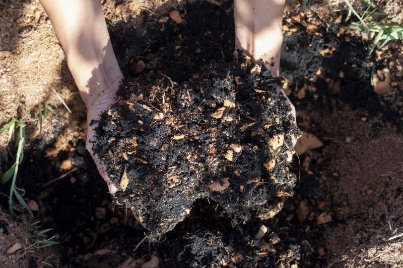 Brown Mulch Installation in Honolulu, HI
