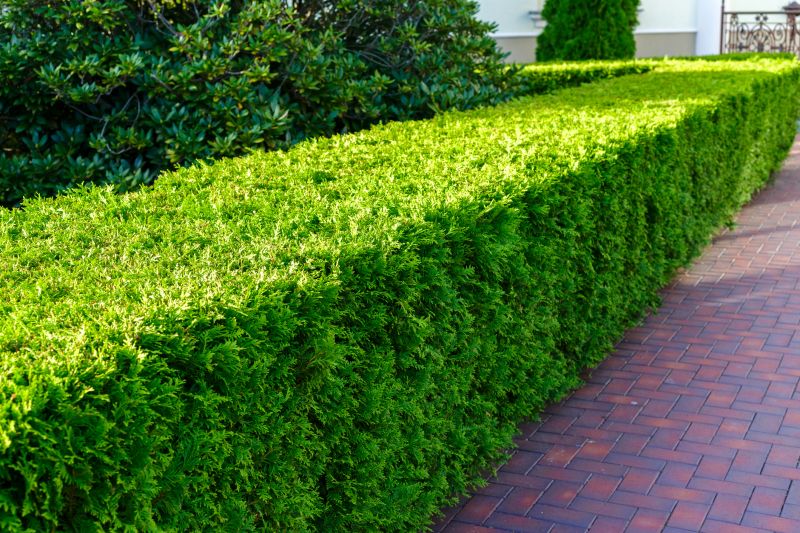Bush Installation in Honolulu, HI