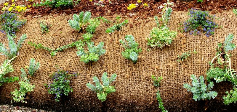 Erosion Control Service in Honolulu, HI
