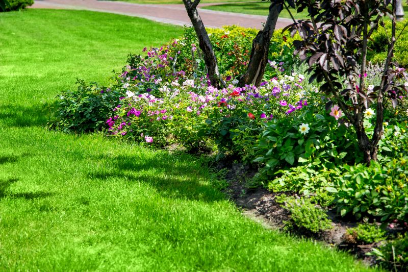 Flower Bed Cleanup Service in Honolulu, HI