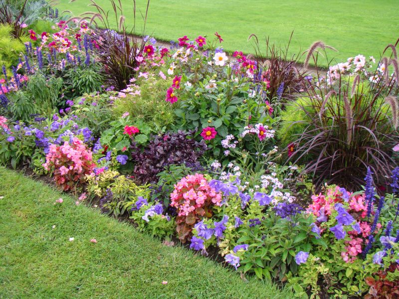 Flower Landscaping in Ventura County, CA
