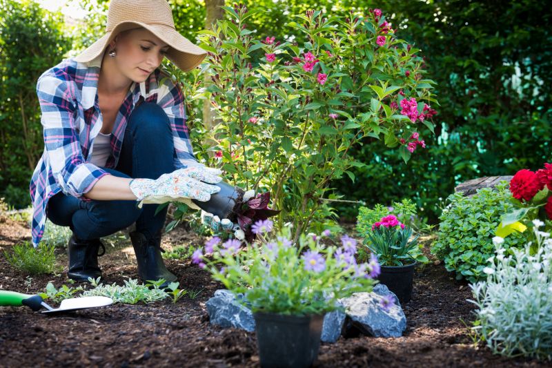 Garden Care Service in Ventura County, CA
