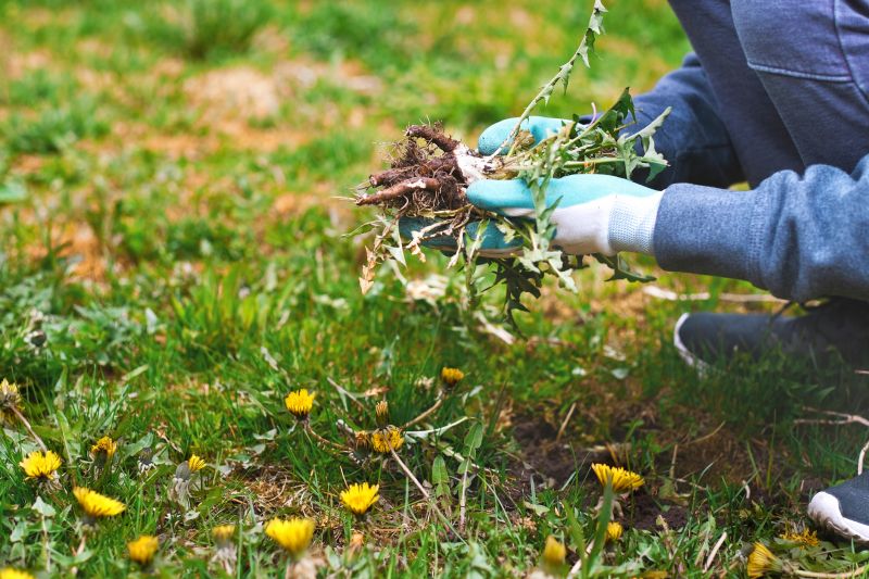 Garden Cleanup Service in Ventura County, CA