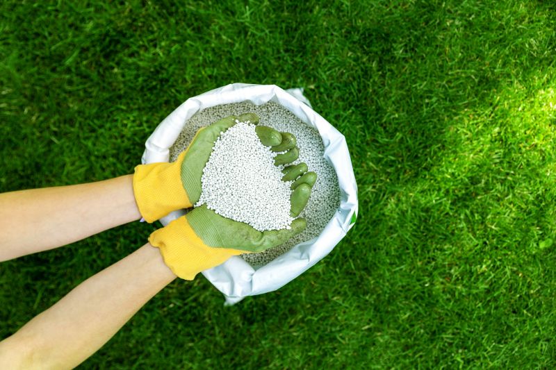 Grass Patching in Honolulu, HI