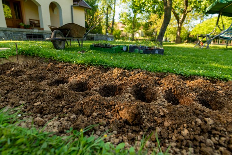 Home Gardening Service in Honolulu, HI