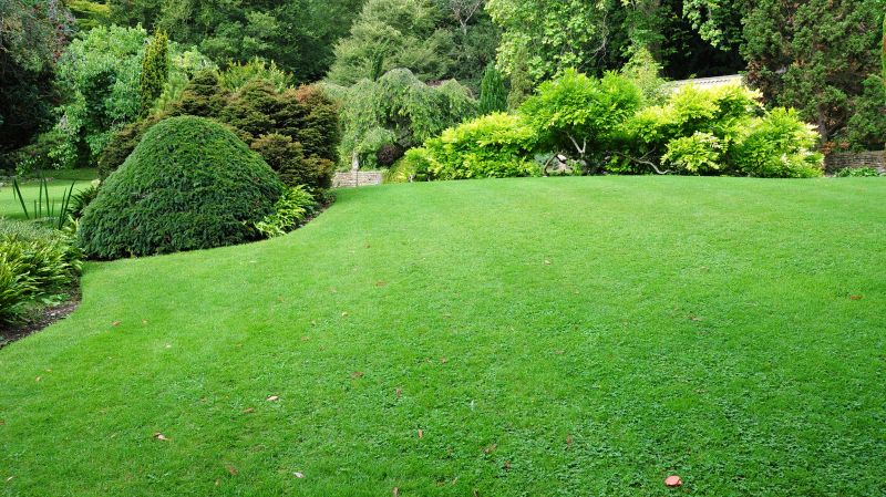 Office Landscaping Design in Honolulu, HI