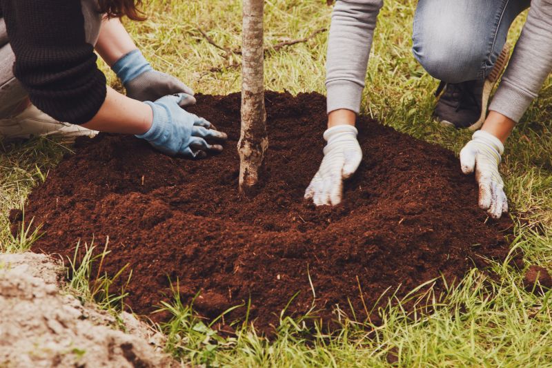 Orchard Planting in Ventura County, CA