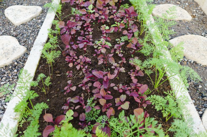 Pea Gravel Spreading in Honolulu, HI