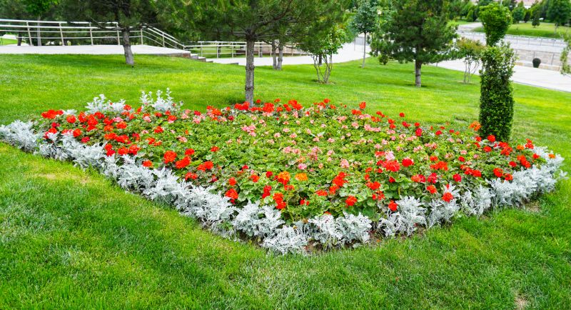 Shrub Planting Service in Honolulu, HI