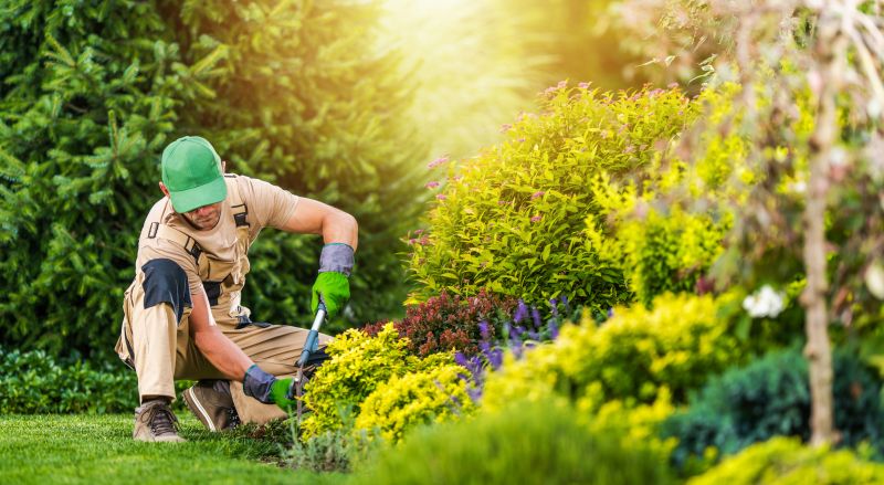 Small Garden Landscaping in Ventura County, CA